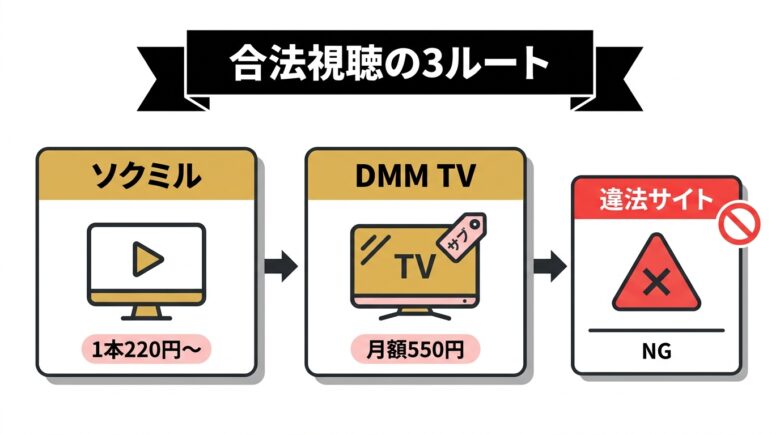 元モデルAV女優の作品を合法視聴する3ルート