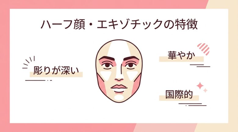 ハーフ顔エキゾチックの特徴図解