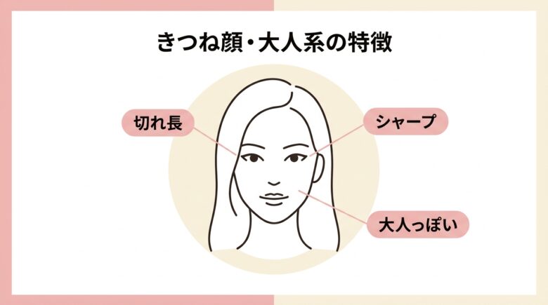 きつね顔大人系の特徴図解